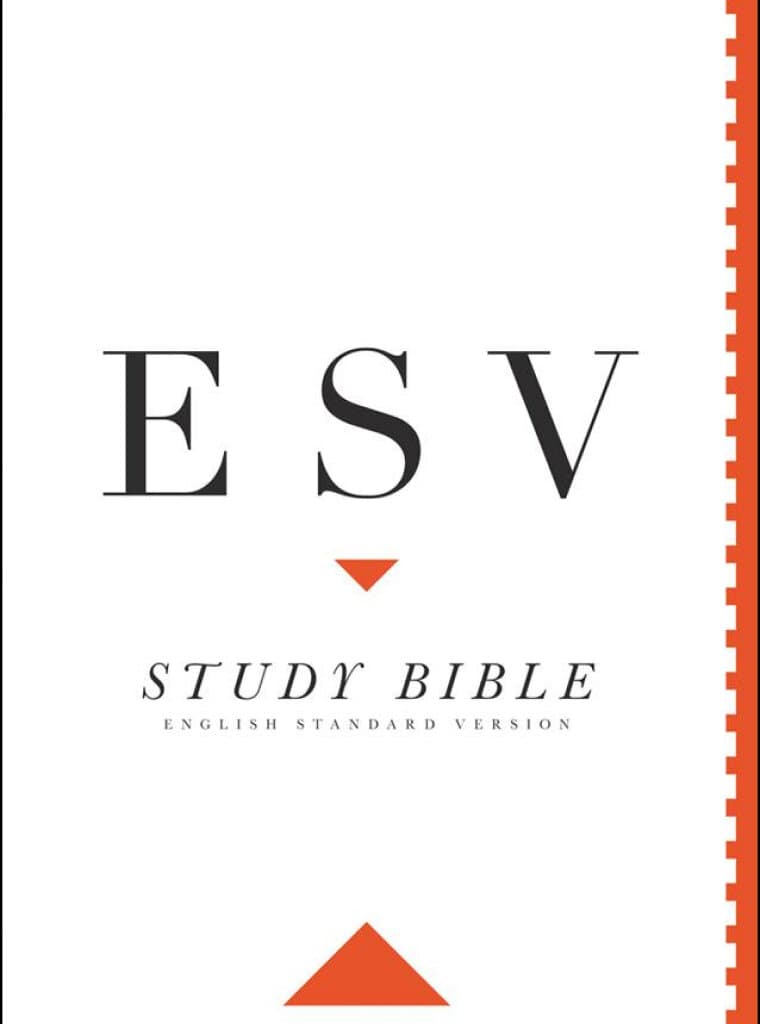 store-translations-study-bibles-commentaries-devotionals-life-bible
